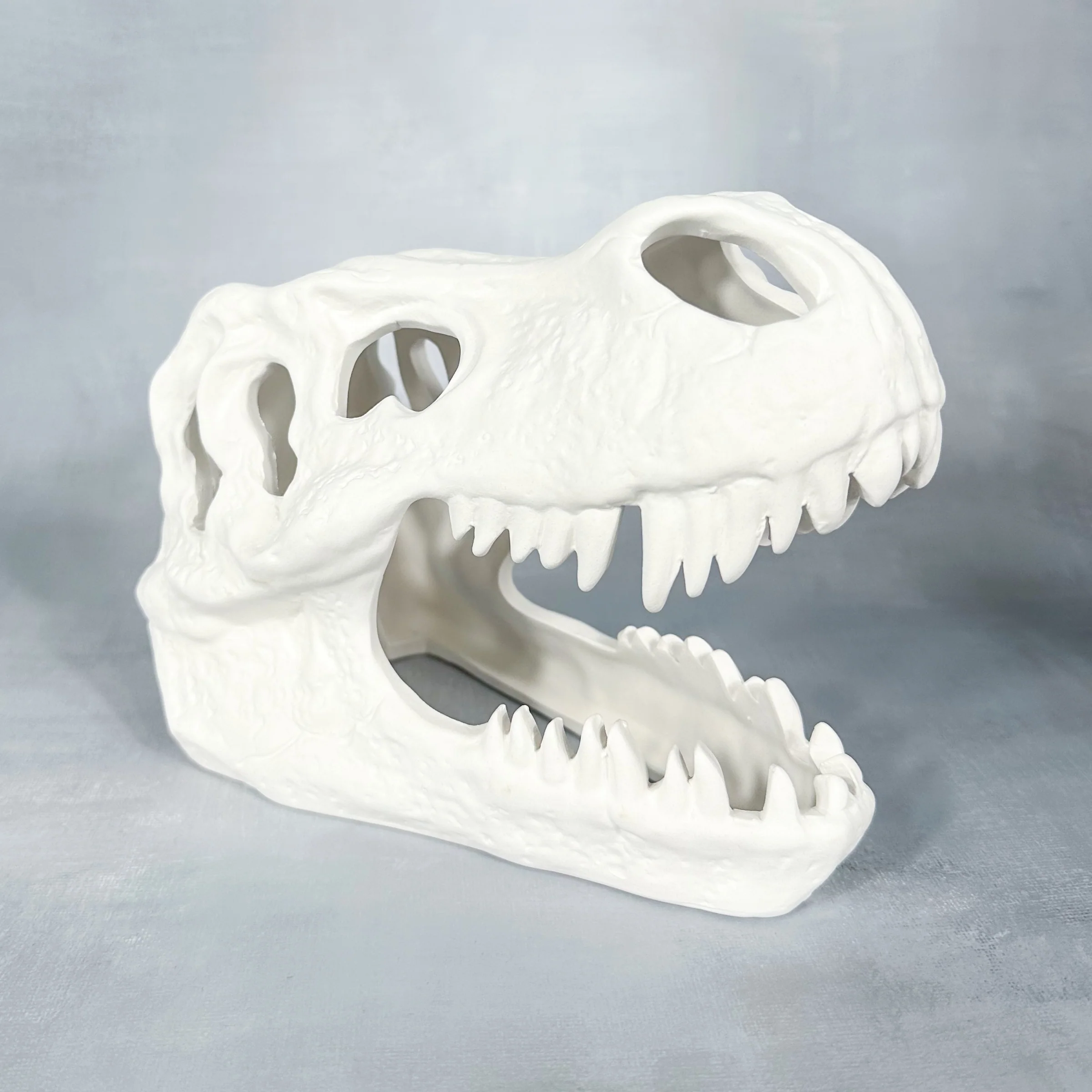 Chesapeake CCX4031 T-Rex Skull Bisque