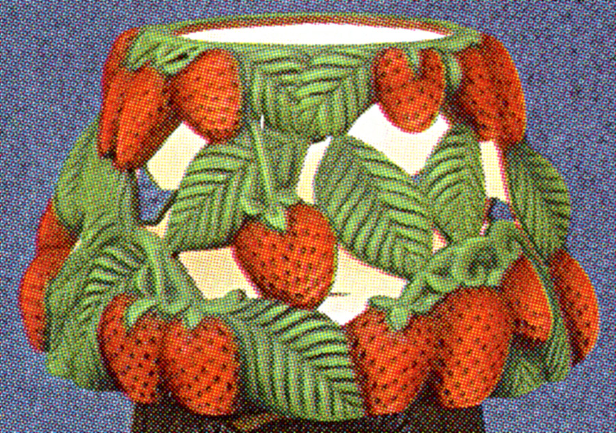 strawberry lamp shade