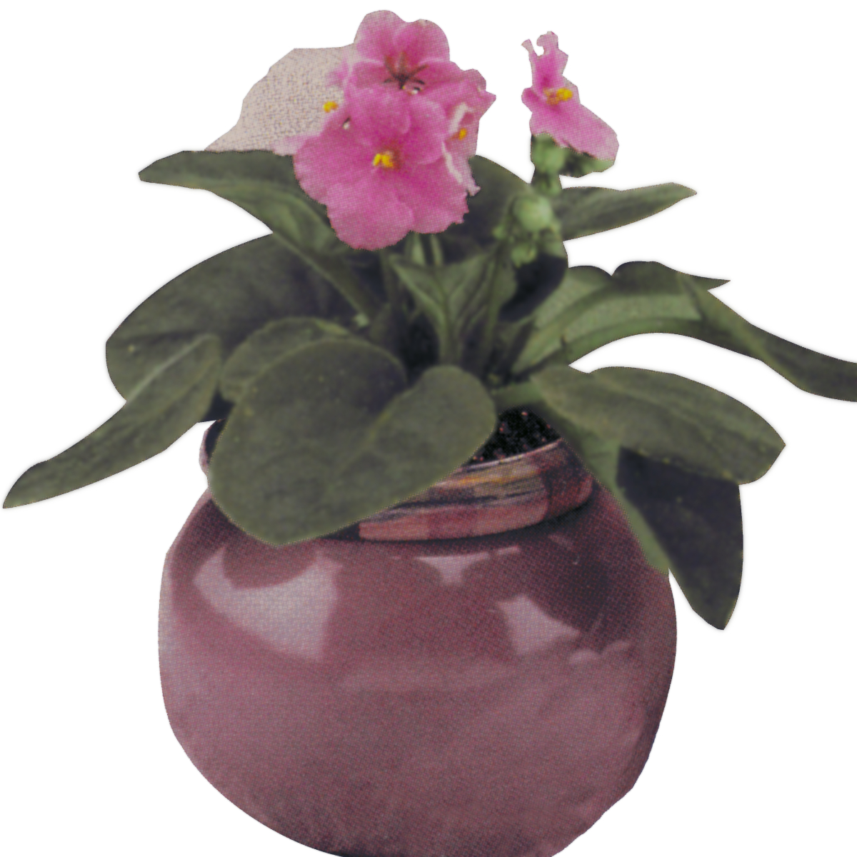 Duncan DM-929 Small African Violet Pot Mold