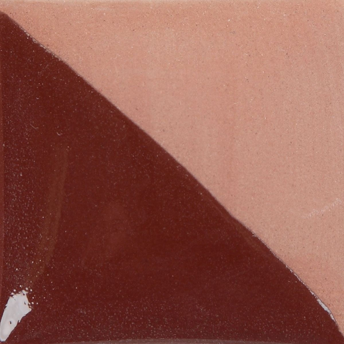 ÉCLAT Botanical aircolor foam ダークブラウン ÉCLAT Botanical aircolor foam ダークブラウン Oakstand