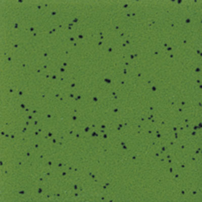 Mayco SP-226 Green Thumb Speckled Stroke & Coat Glaze (8 oz.)